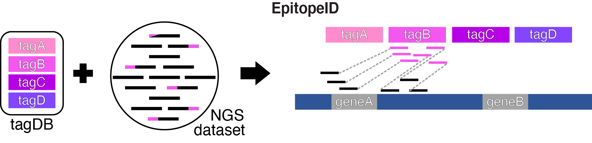 Figure1A