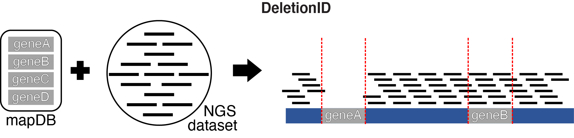 Figure1B