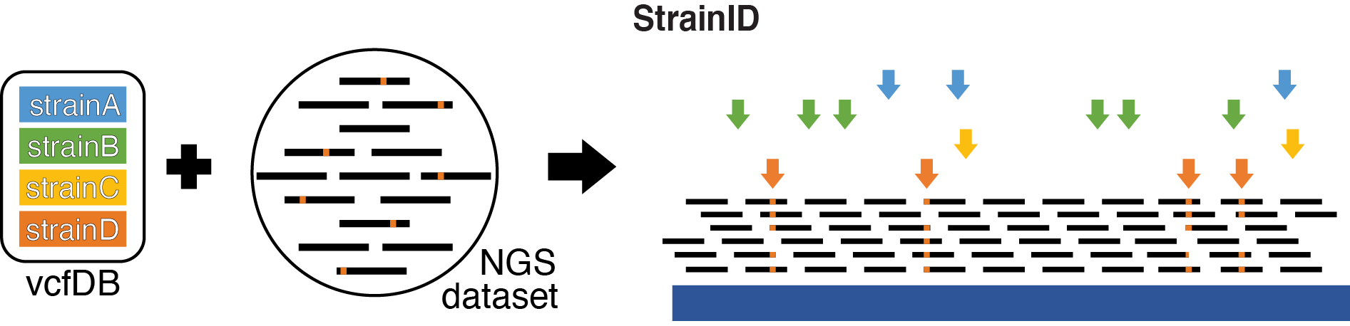 Figure1C